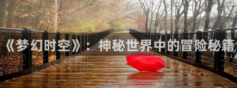 辉达娱乐注册登录平台：《梦幻时空》：神秘世界中的冒险秘籍