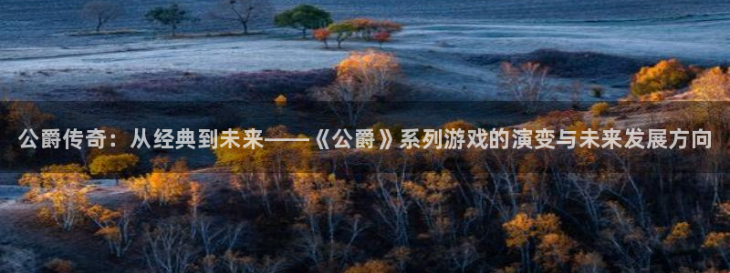 辉达娱乐登陆测速：公爵传奇：从经典到未来——《公爵》系列游戏