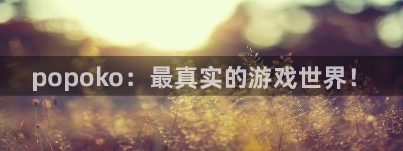 辉达娱乐注册官方登录app：popoko：最真实的游戏世界！