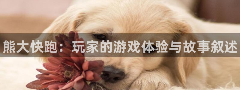 辉达娱乐注册：熊大快跑：玩家的游戏体验与故事叙述