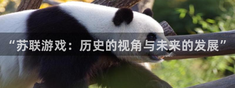 辉达娱乐线路测试：“苏联游戏：历史的视角与未来的发展”