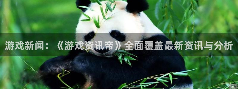 辉达娱乐平台官网登录：游戏新闻：《游戏资讯帝》全面覆盖最新资
