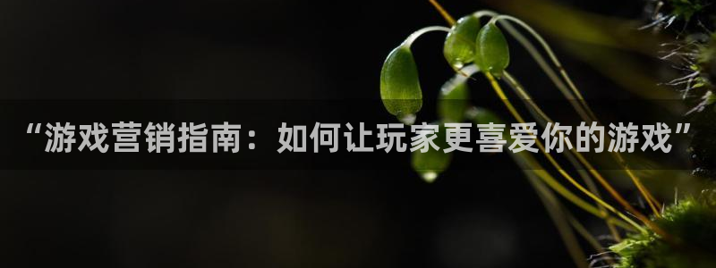 辉达娱乐科技：“游戏营销指南：如何让玩家更喜爱你的游戏”