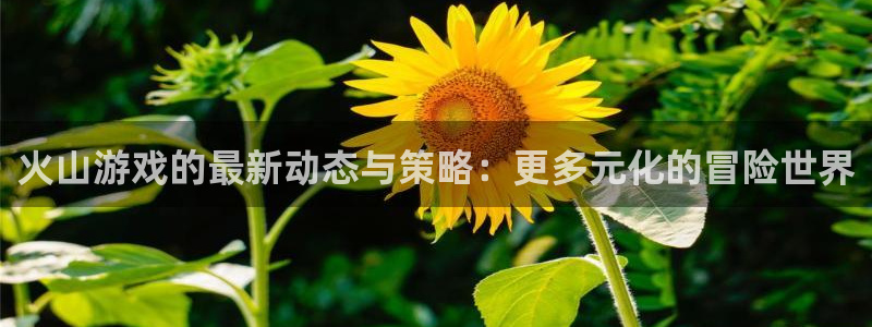 辉达娱乐2首页登录：火山游戏的最新动态与策略：更多元化的冒险