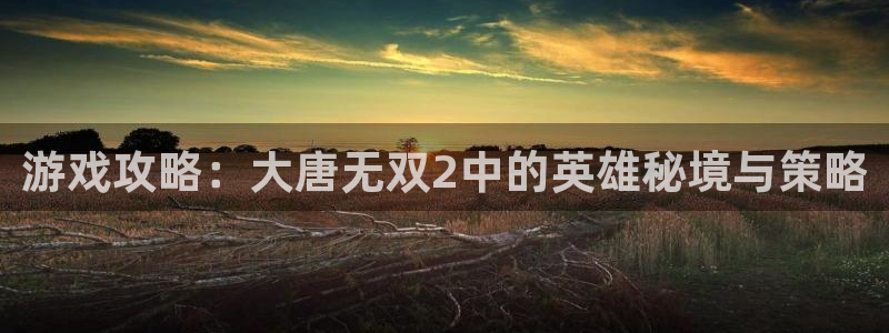 辉达娱乐平台官网注册：游戏攻略：大唐无双2中的英雄秘境与策略
