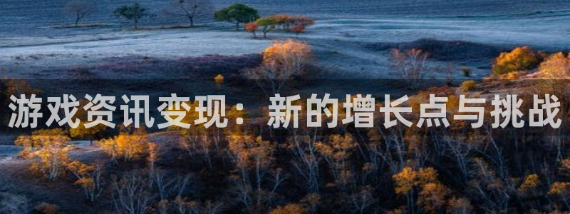 手机版辉达娱乐客户端下载：游戏资讯变现：新的增长点与挑战