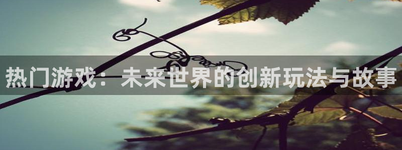 辉达娱乐直属