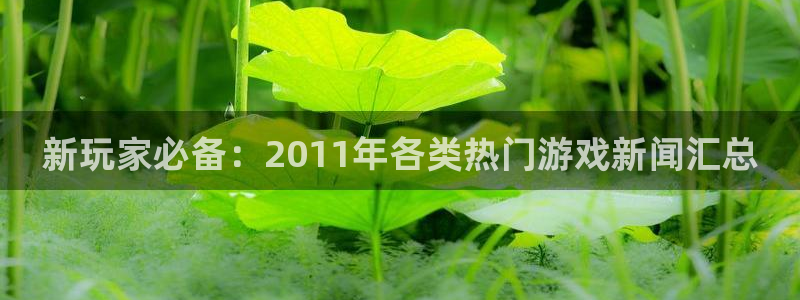 辉达娱乐注册账号：新玩家必备：2011年各类热门游戏新闻汇总