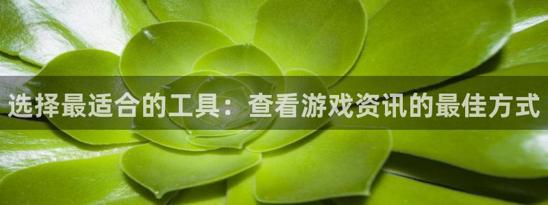 辉达娱乐平台登录入口：选择最适合的工具：查看游戏资讯的最佳方
