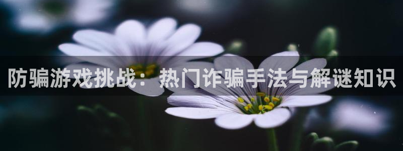 辉达娱乐网页登录入口：防骗游戏挑战：热门诈骗手法与解谜知识
