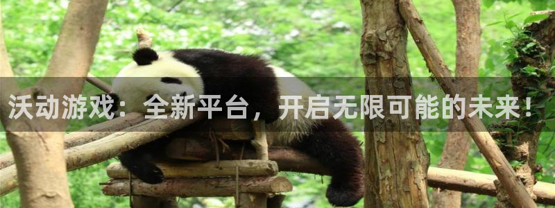 辉达娱乐注册登录:沃动游戏:全新平台,开启无限可能的未来!