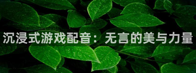 辉达娱乐app下载：沉浸式游戏配音：无言的美与力量