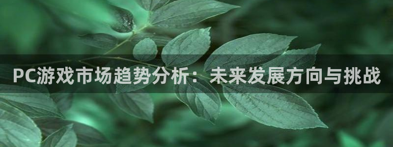 辉达娱乐网页登录入口官网：PC游戏市场趋势分析：未来发展方向