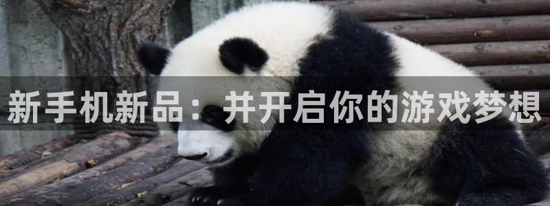 辉达娱乐主管：新手机新品：并开启你的游戏梦想