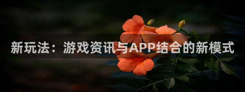 辉达娱乐网址官网：新玩法：游戏资讯与APP结合的新模式
