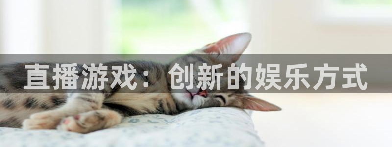 辉达娱乐亏损怎么办啊：直播游戏：创新的娱乐方式