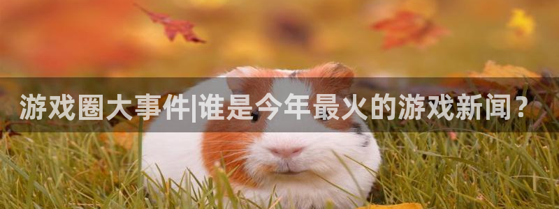 辉达娱乐最新消息新闻：游戏圈大事件|谁是今年最火的游戏新闻？