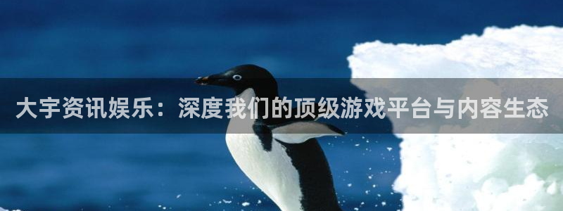 辉达娱乐今日最新消息：大宇资讯娱乐：深度我们的顶级游戏平台与