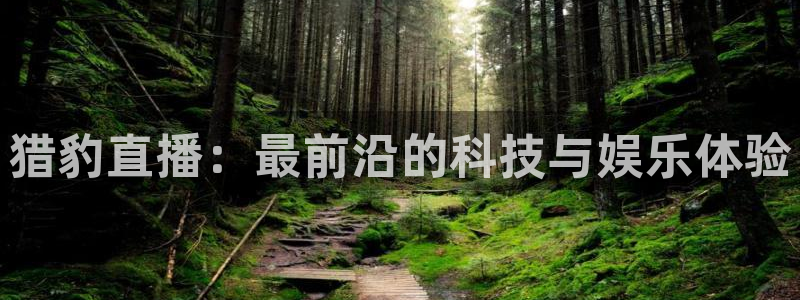 篮球直播jrkan