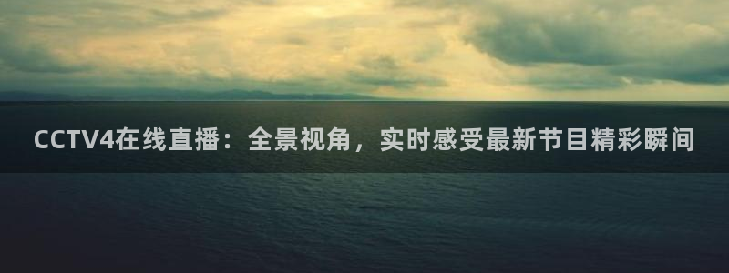 nbajrkan直播：CCTV4在线直播：全景视角，实时感受最新节目精彩瞬间
