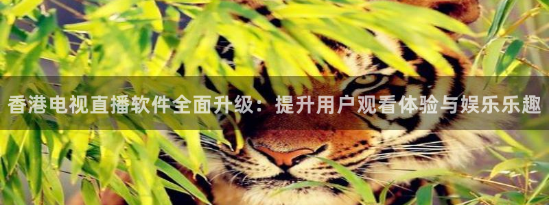 nba网站直播jrkan：香港电视直播软件全面升级：提升用户观看体验与娱乐乐趣